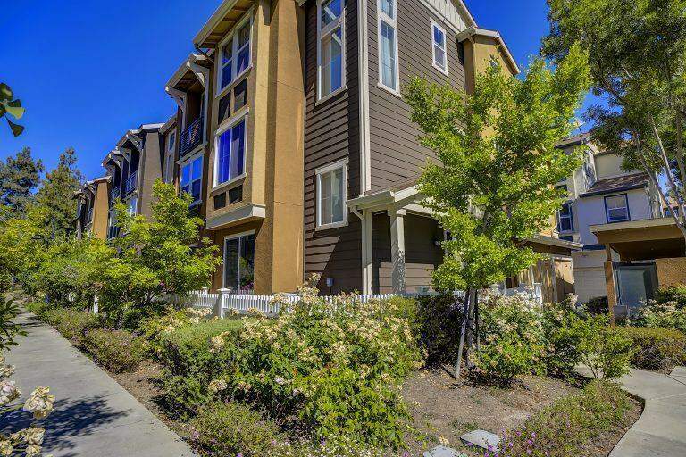239 Peppermint Tree Terrace #1, Sunnyvale, CA 94086