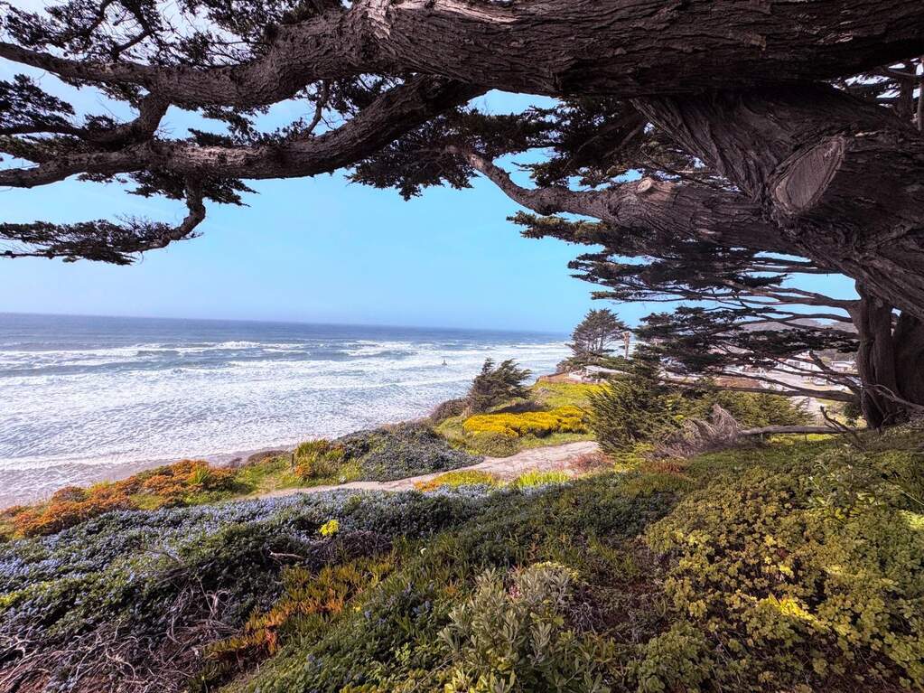 0 Ocean, Moss Beach, CA 94038