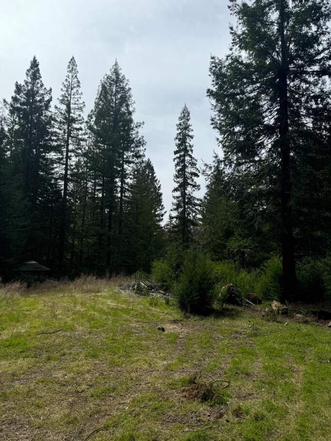 320 Timber Cove, Boulder Creek, CA 95006