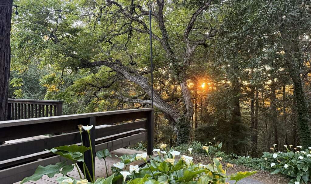 50 Ocean View Road, Los Gatos, CA 95033