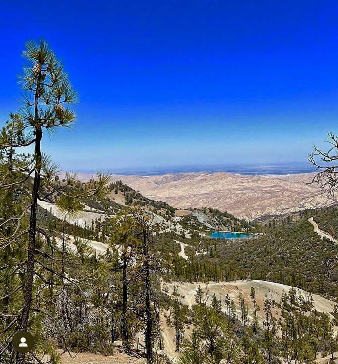 New Idria, Paicines, CA 95043