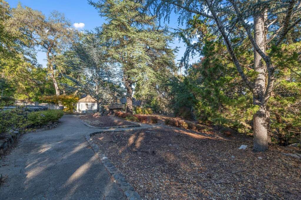 100 Wood Road, Los Gatos, CA 95030
