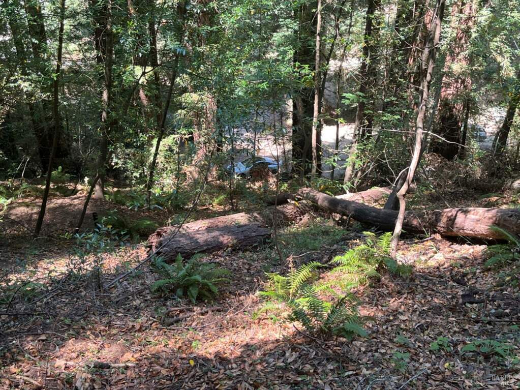 55 Conifer Way, Woodacre, CA 94973