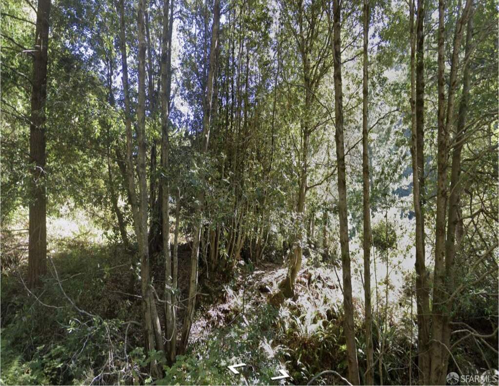 1504 Telegraph Creek Road