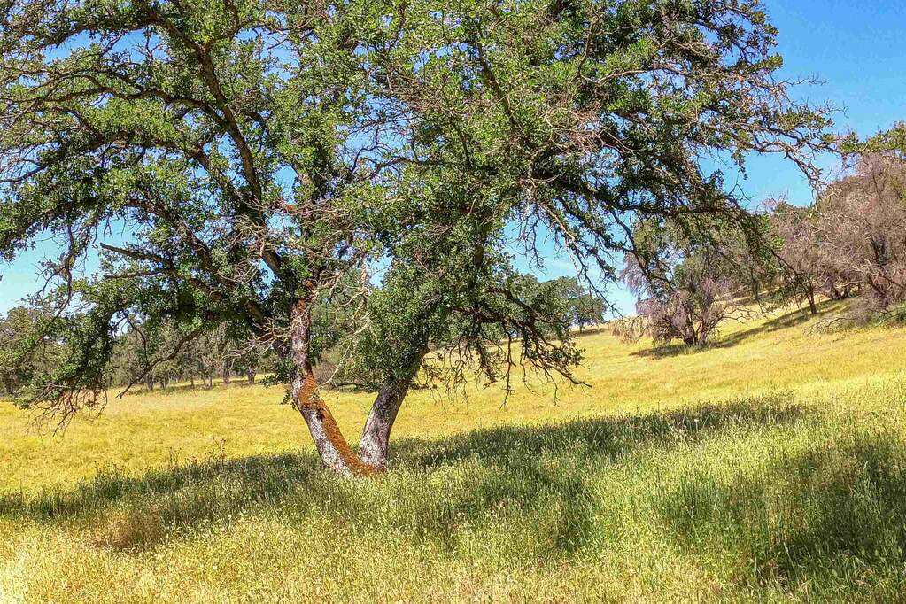 1 Boulder Way, Smartsville, CA 95977 MLS 20230519 Christie's