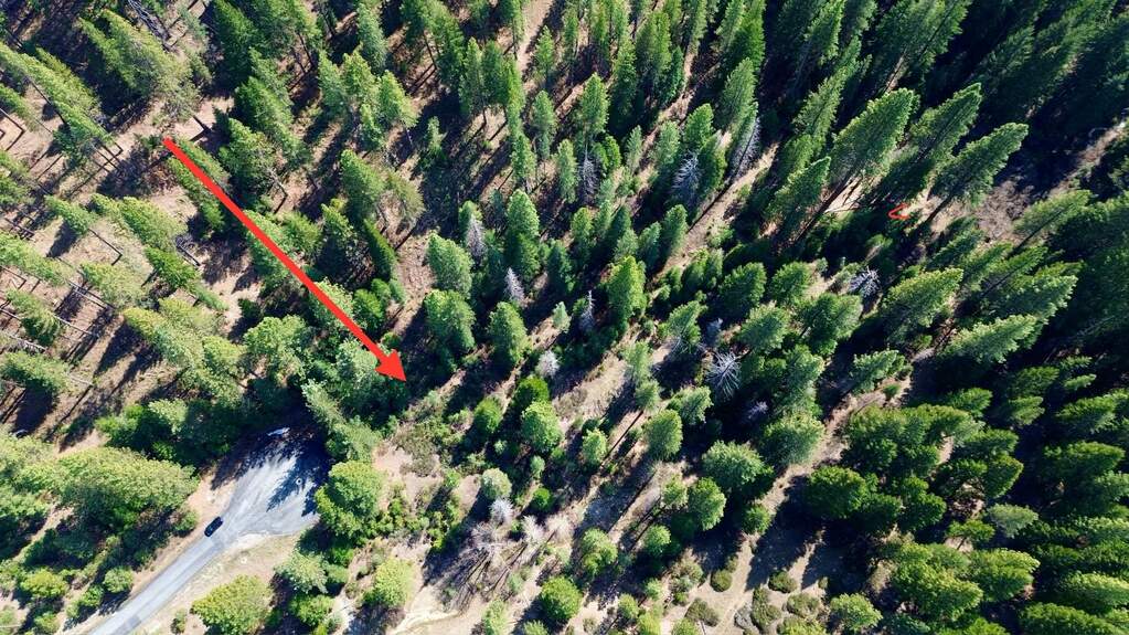 638 Eureka Springs Drive, Blairsden, CA 96103