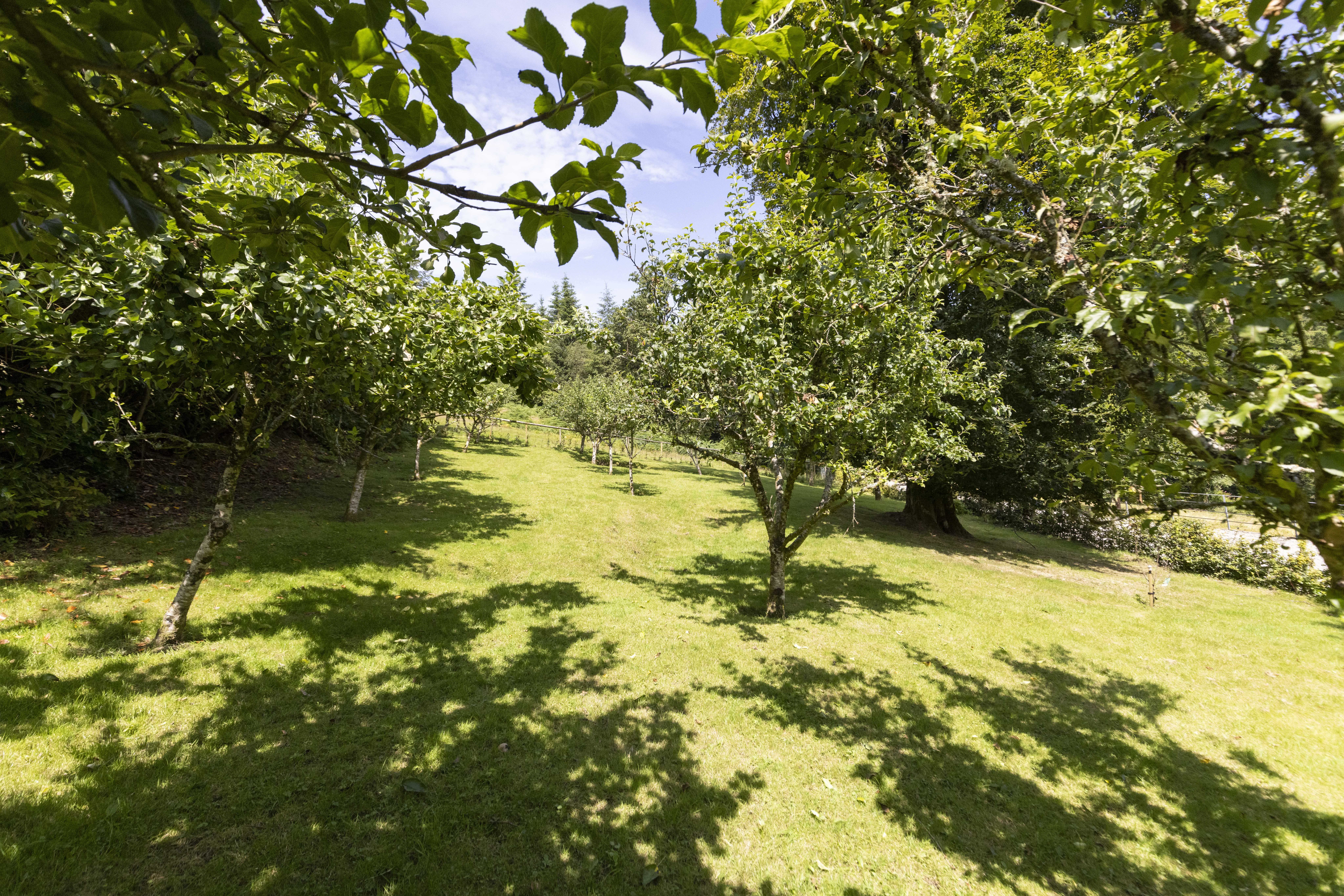 6 Bedroom Estate's Image 41