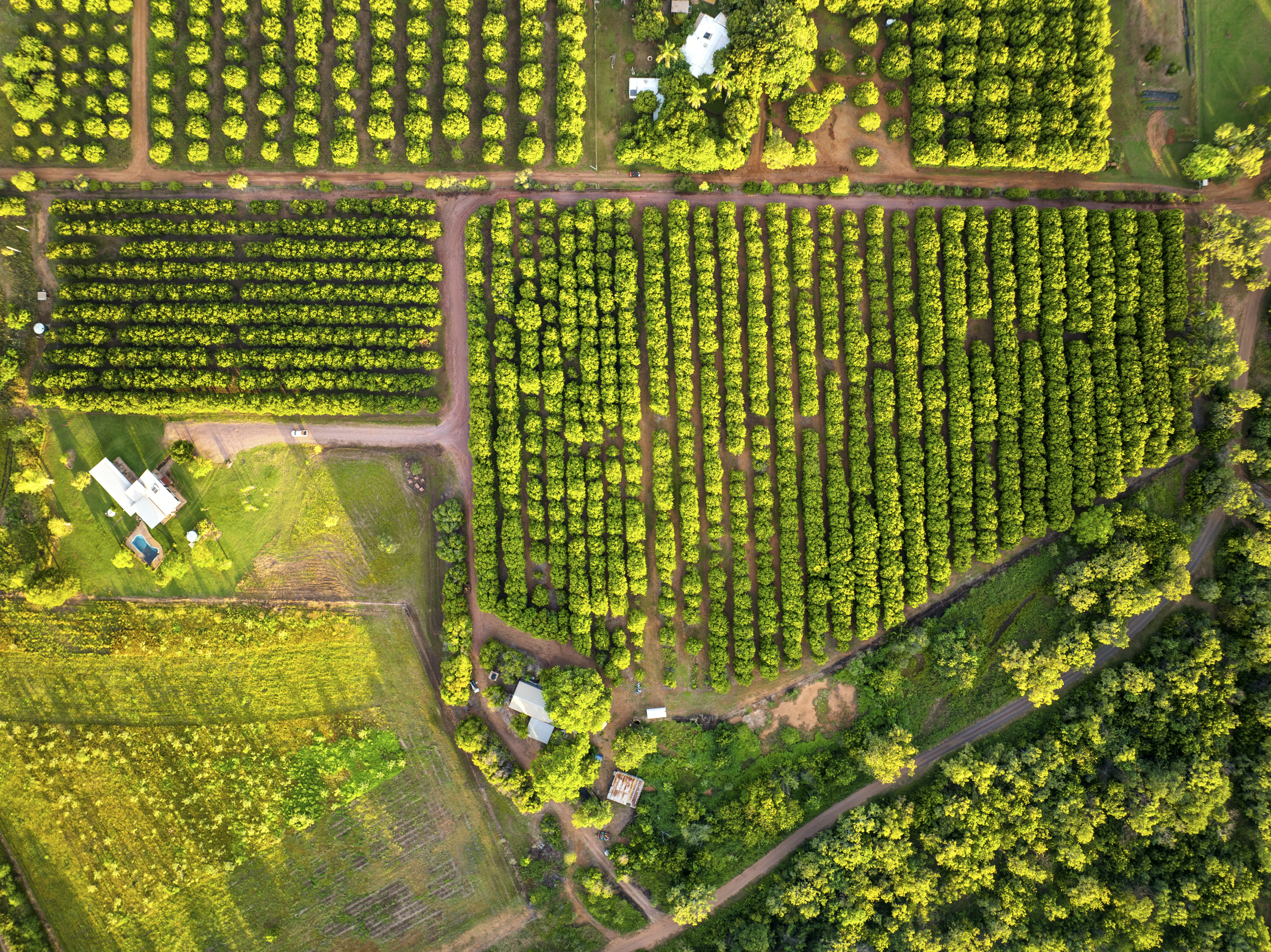 528 River Farm Road, Kununurra - Thumbnail 2