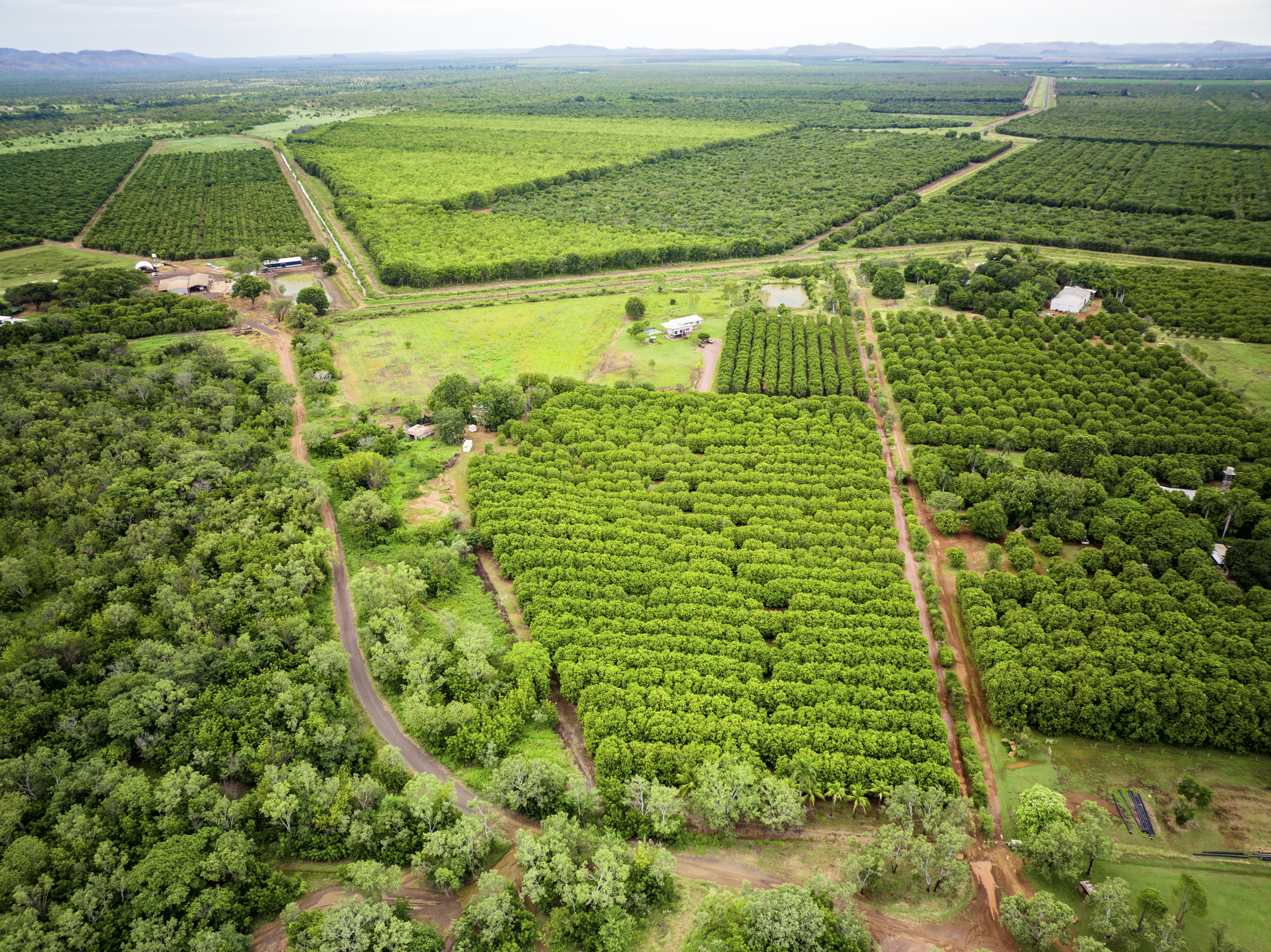 528 River Farm Road, Kununurra - Thumbnail 7