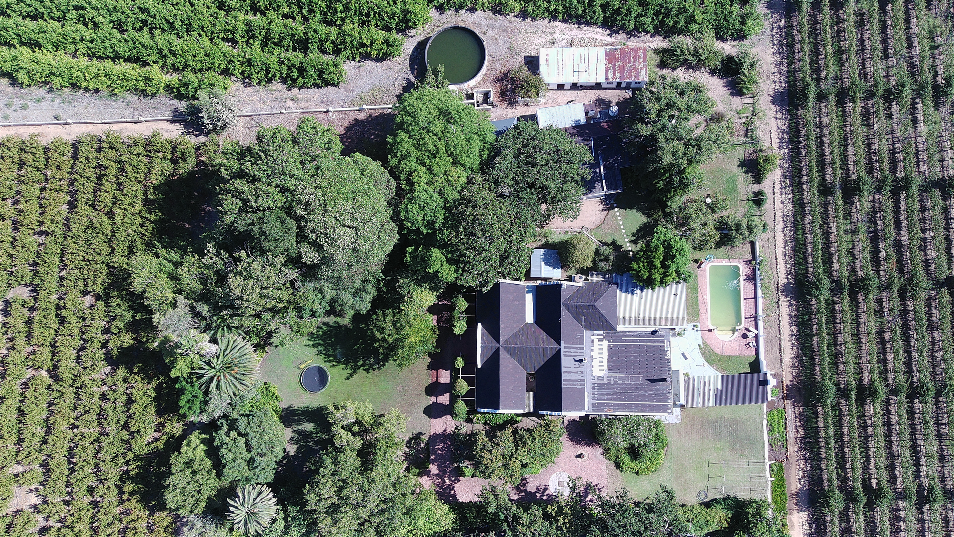 4 Bedroom Farm/Ranch/Plantation's Image 25