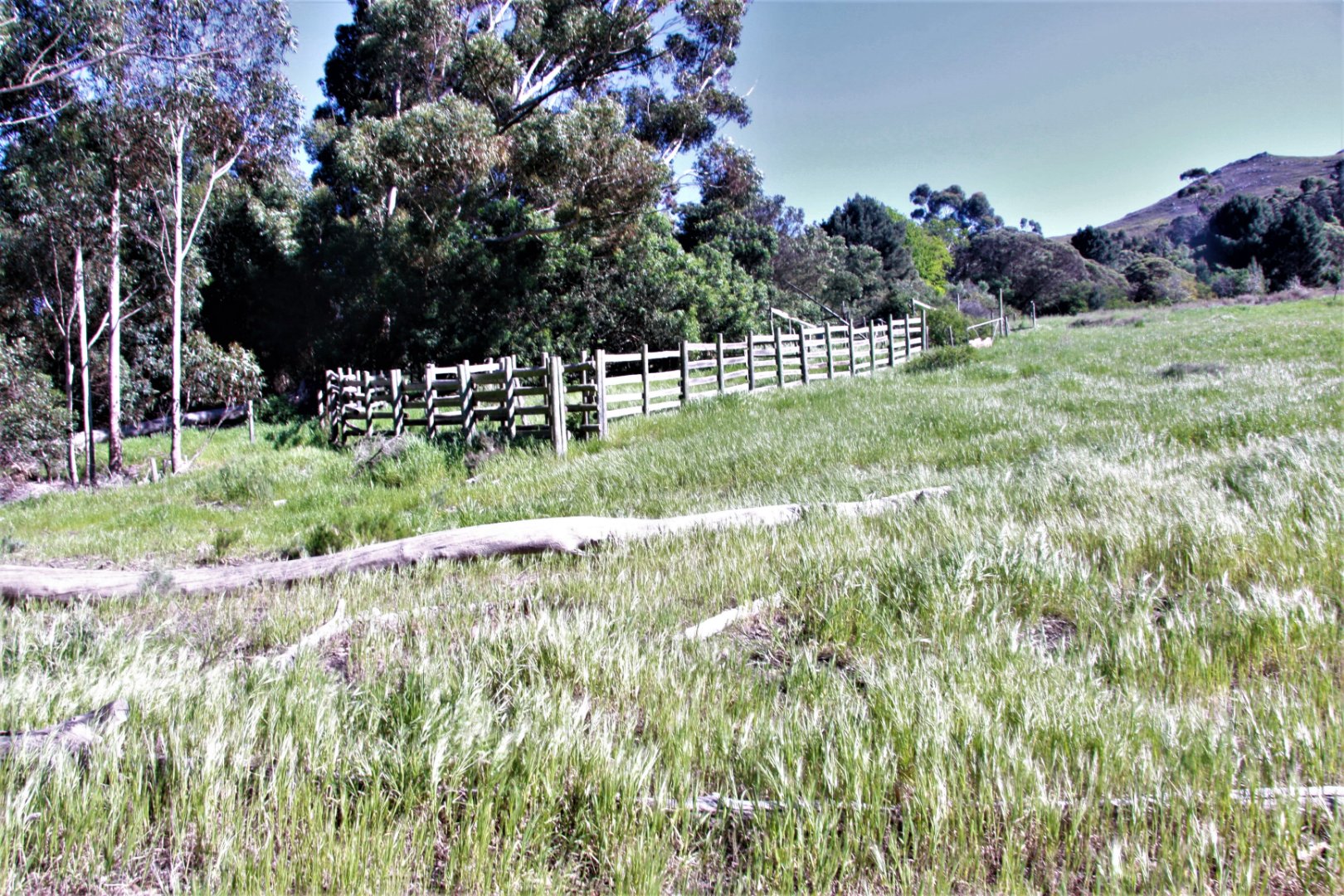 4 Bedroom Farm/Ranch/Plantation's Image 13