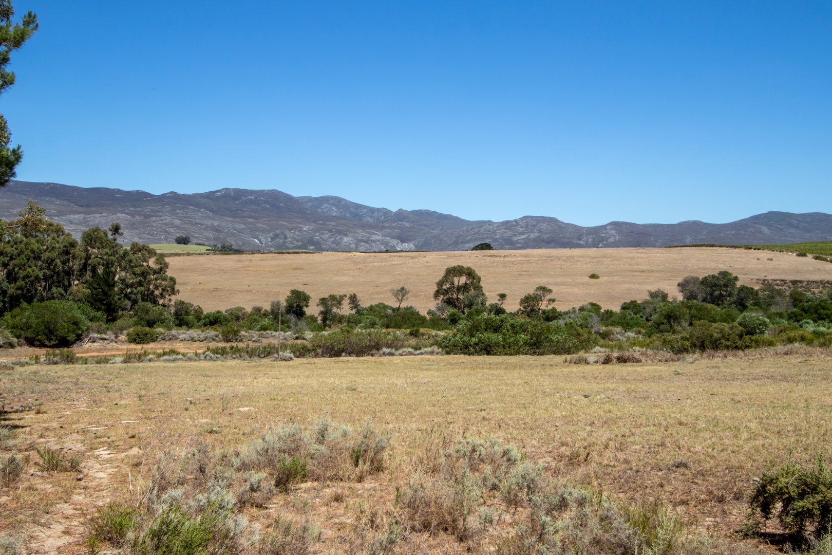 4 Bedroom Farm/Ranch/Plantation's Image 21