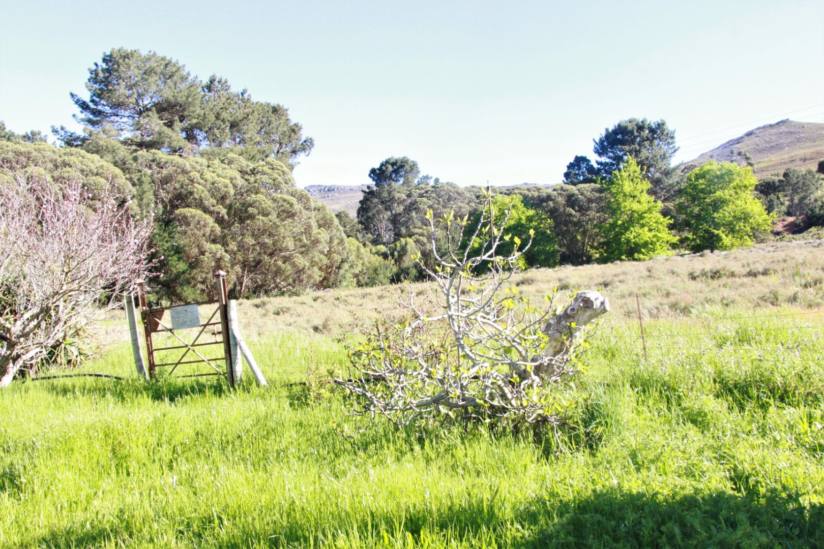 4 Bedroom Farm/Ranch/Plantation's Image 8