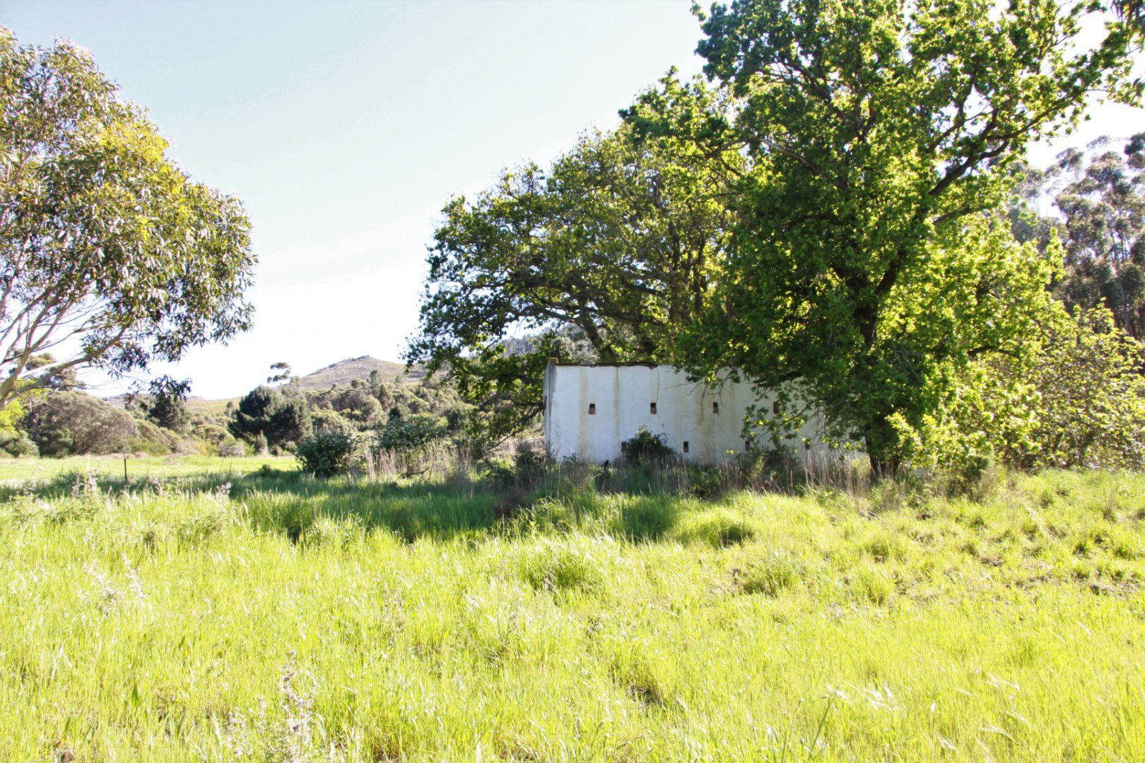 4 Bedroom Farm/Ranch/Plantation's Image 10