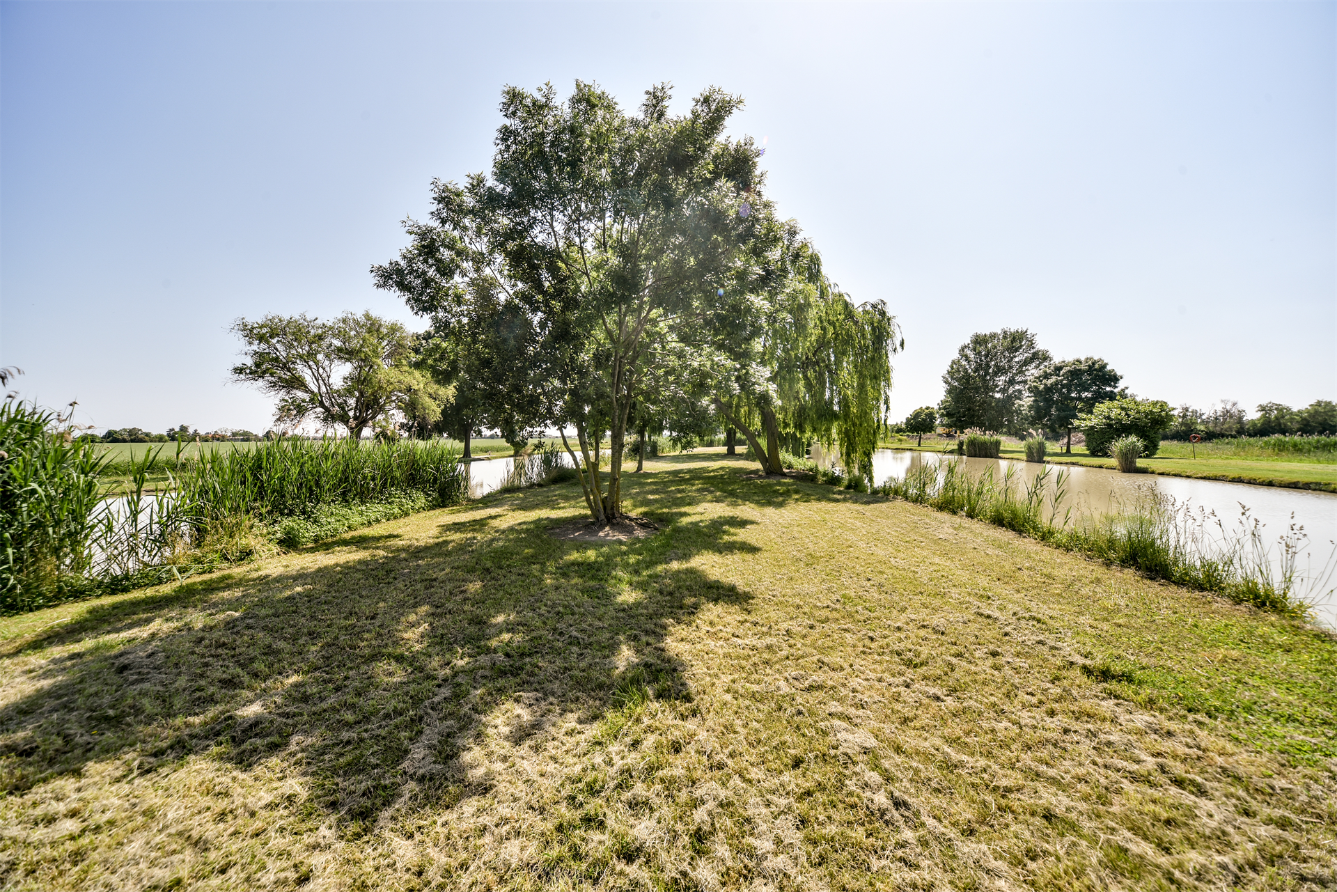 12 Bedroom Farm/Ranch/Plantation's Image 13