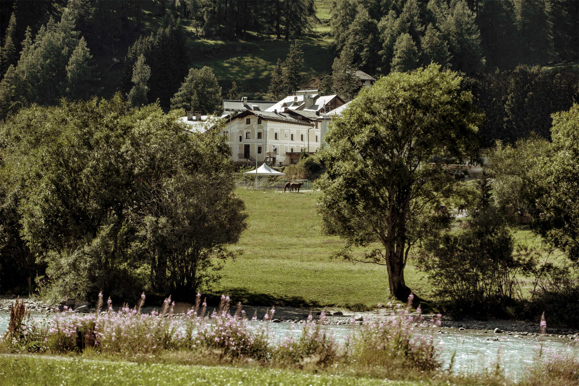 Property Slider Image