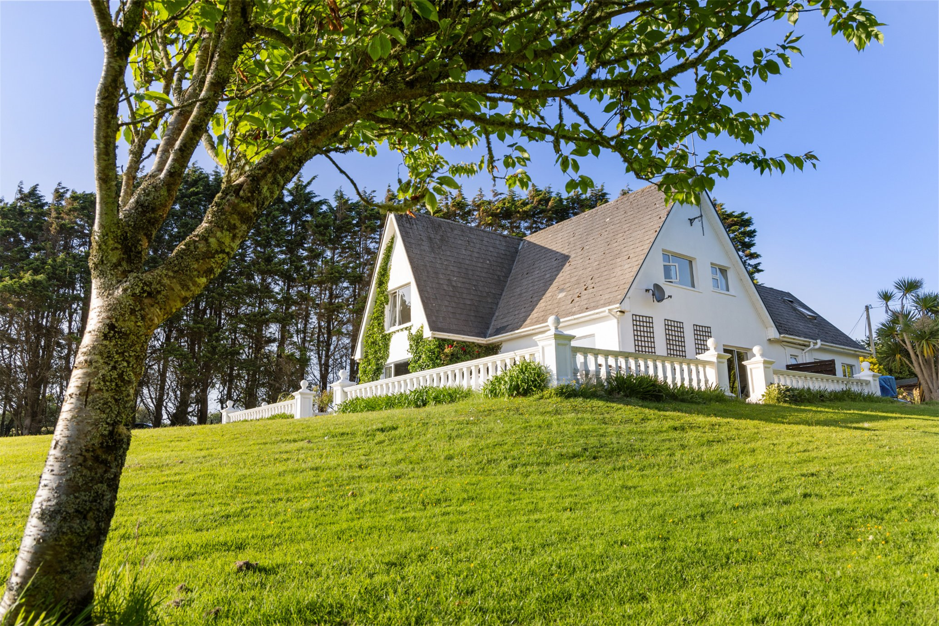5 Bedroom Single Family Home/House's Image 39