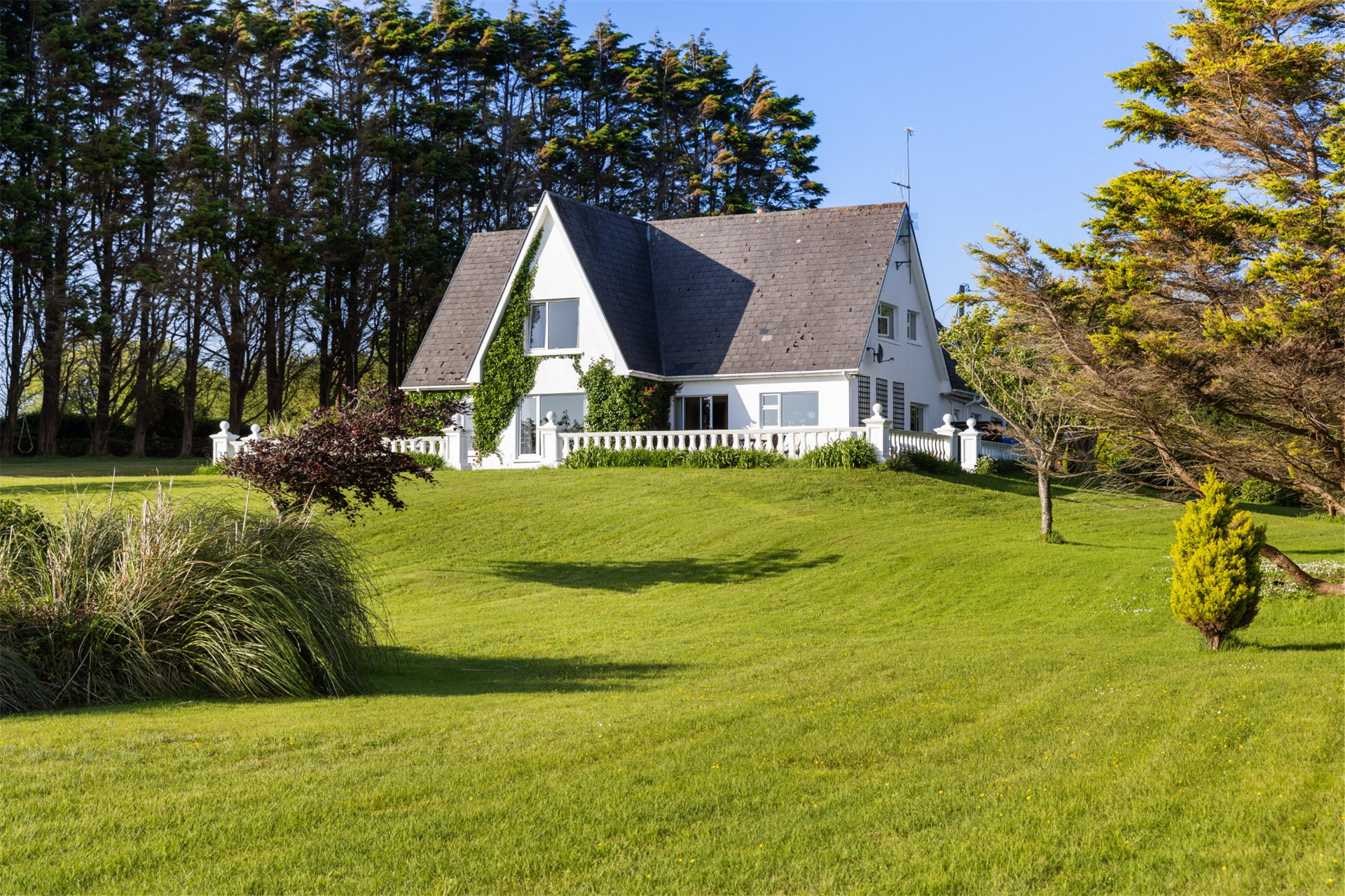5 Bedroom Single Family Home/House's Image 34