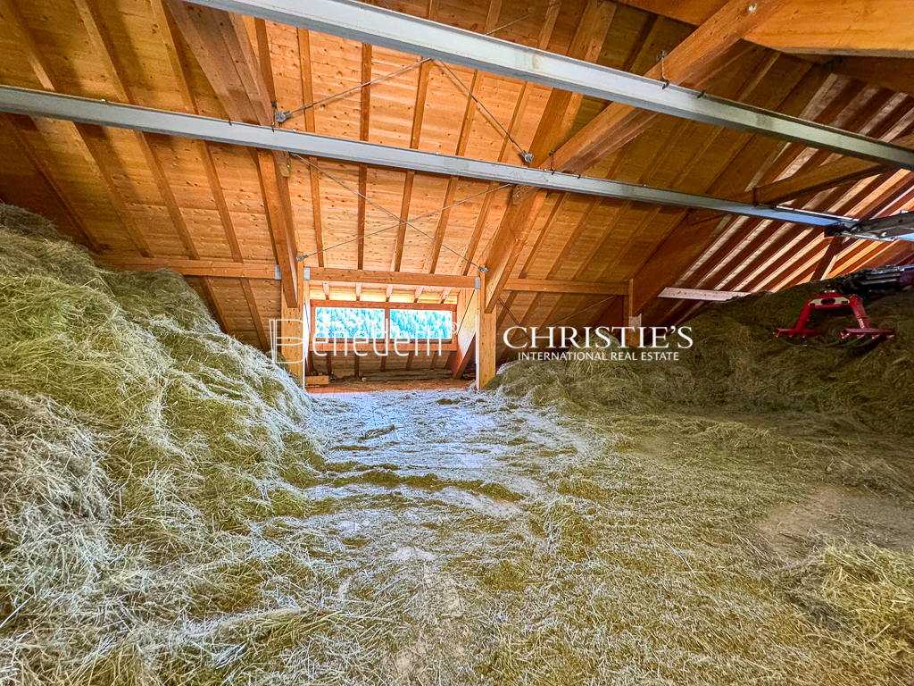 8 Bedroom Estate's Image 37