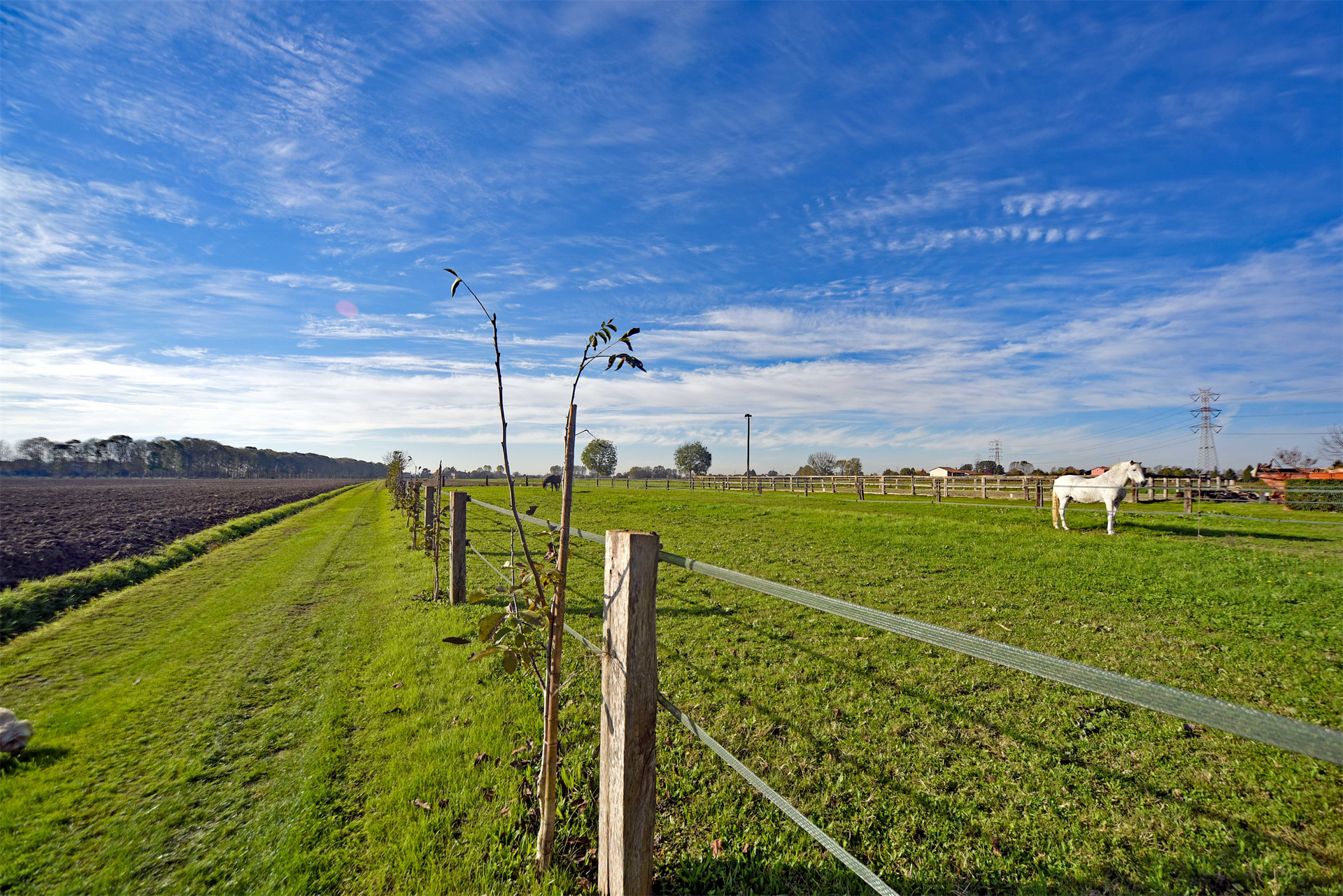 Farm/Ranch/Plantation's Image 17