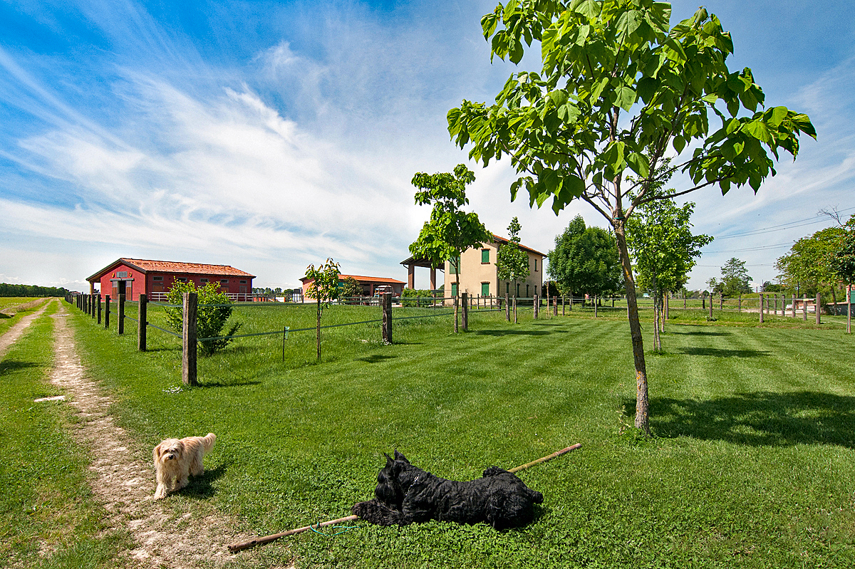Farm/Ranch/Plantation's Image 15