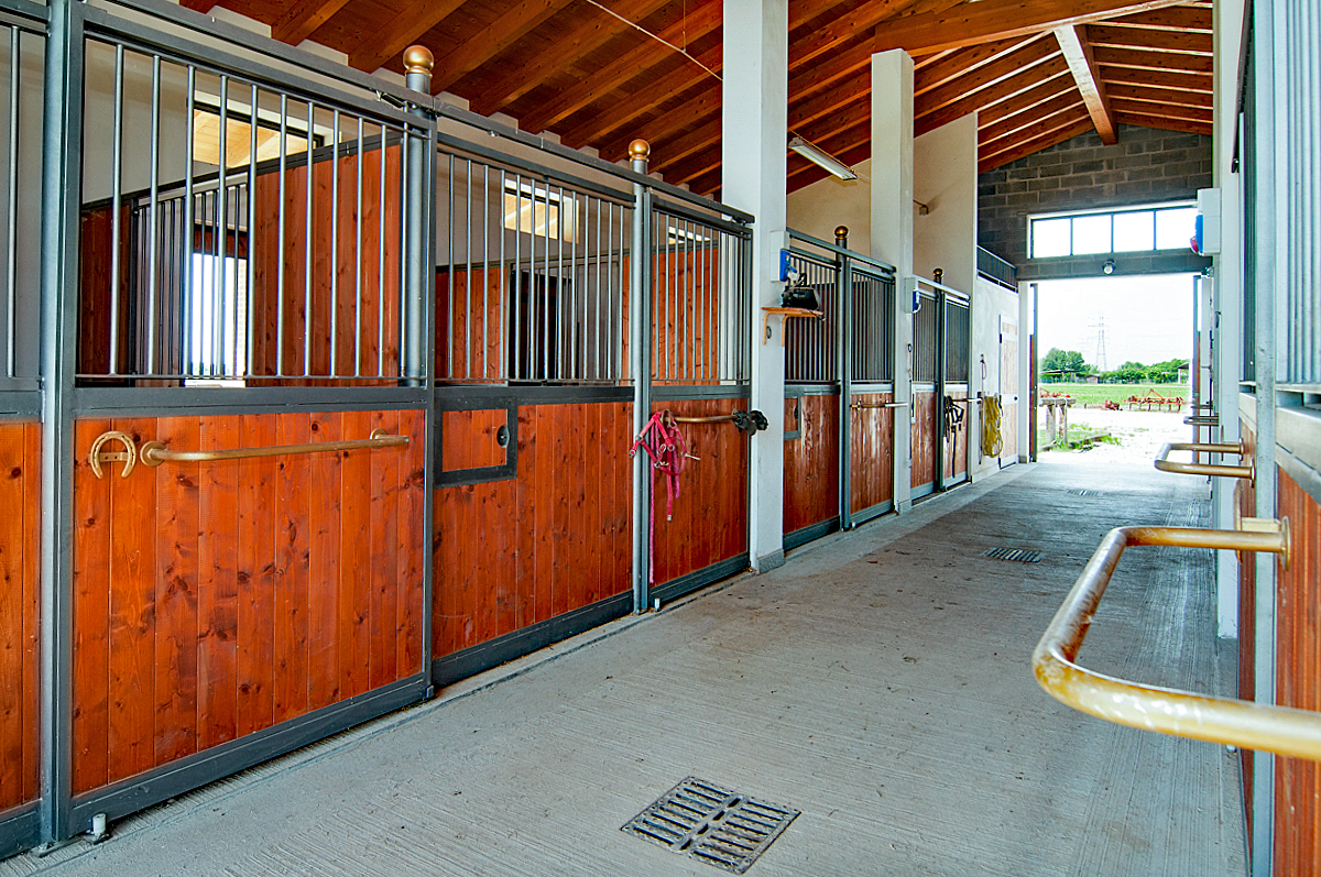 Farm/Ranch/Plantation's Image 14