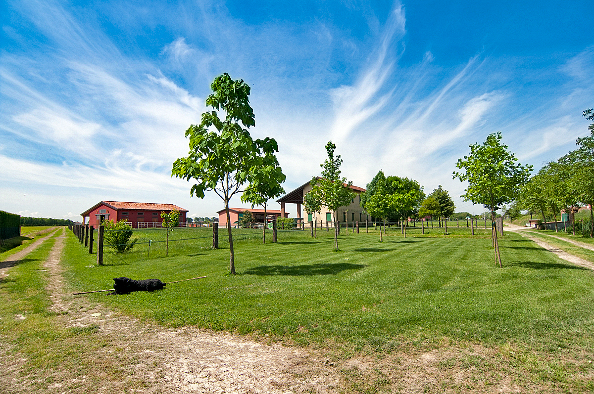 Farm/Ranch/Plantation's Image 16