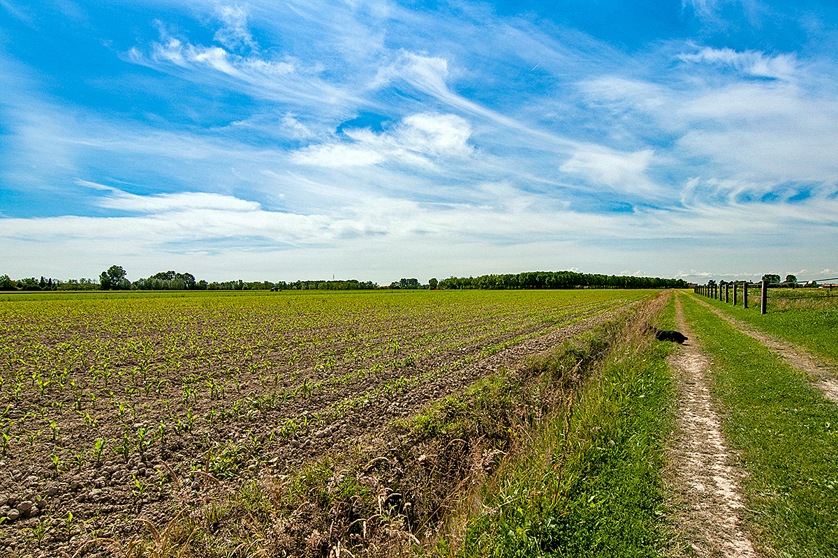 Farm/Ranch/Plantation's Image 18